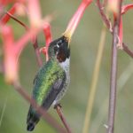 PG游戏官网的最新动态与热门游戏推荐一览 9a9so4k0tf