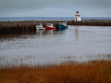 8868.com的独特优势：如何在购物中节省更多
