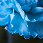 9b娱乐平台官网的安全性与用户体验分析,值得信赖吗? iq8414to7