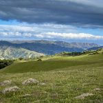 Panda Sports:引领未来运动装备的创新与设计趋势 osj2pngq56