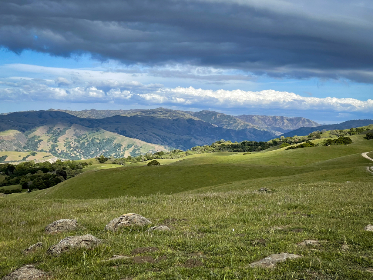 Panda Sports：引领未来运动装备的创新与设计趋势