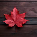 041期大乐透开奖号码揭晓,大奖花落谁家引关注 3vg2971