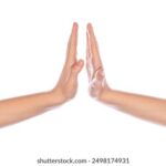 027期开奖号码公布,最新结果查询与走势分析 4lkriqhwh