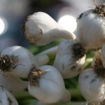 014期体彩大乐透开奖结果揭晓,大奖花落谁家? 7vwg2