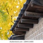 22229期开奖号码最新公布与结果查询 85ia05fh9