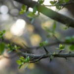 039期彩票开奖公告:最新中奖号码与结果查询 bnusocqwru