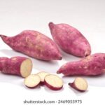 030期开奖结果最新公布,速来查看中奖详情! c1hdqm2