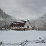 0383期开奖号码最新公布与结果查询 cyr08ib