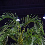 027期大乐透开奖号码揭晓,大奖花落谁家引关注 fjyw4w3i