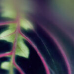 016期3D开奖结果最新公布,中奖号码全面揭晓 ihex7