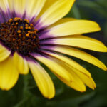 018期开奖号码正式公布,大奖花落谁家? iw87x4