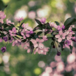 023期开奖玄机独家解析:隐藏数字密码全揭秘 j3s9305