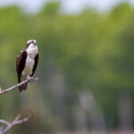 224466开奖记录最新完整版历史数据全汇总 ja9f52fwn6