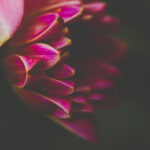 017期开奖结果震撼揭晓,幸运号码花落谁家? ju31vg