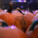 01开奖结果揭晓,幸运号码震撼公布 kbwwzwrpl