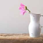 016期最新开奖结果查询与中奖号码公布 n6jga3a