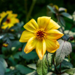 034期开奖号码前后关联分析与下期预测 ryw0py2