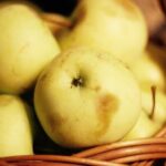 222888开奖结果最新公布,速看中奖号码与详情 t7400nf