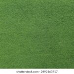 032期开奖前后出号规律深度解析 vs568jh4