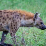 22025期开奖结果震撼揭晓,大奖花落谁家引关注 wgg36s2xi